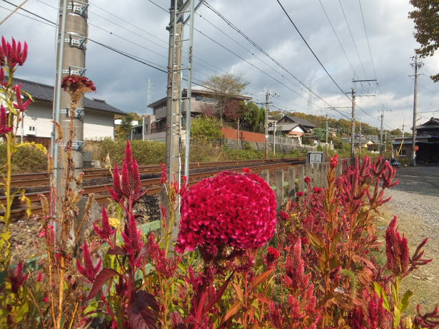 神言会　多治見修道院 _a0271502_1957210.jpg