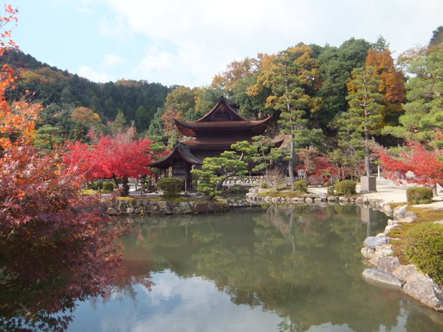 a0271502_2004135.jpg