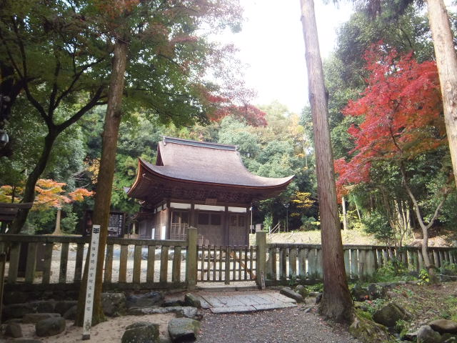 a0271502_2041641.jpg