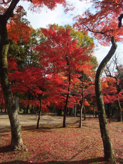 神言会　多治見修道院 _a0271502_2083719.jpg