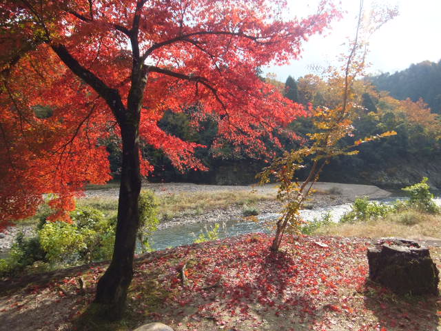 a0271502_2092577.jpg