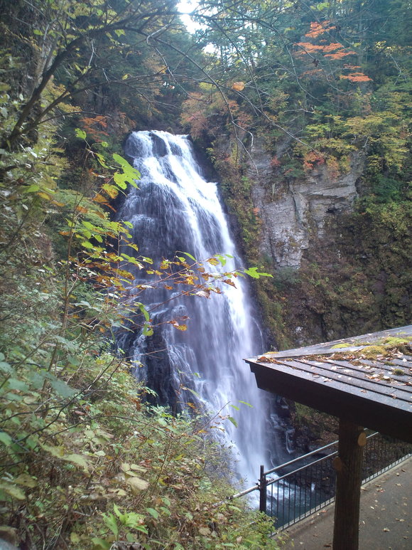 e0117203_2051611.jpg
