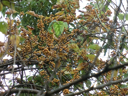 c0156104_22444117.jpg