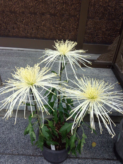 b0277505_03268.jpg