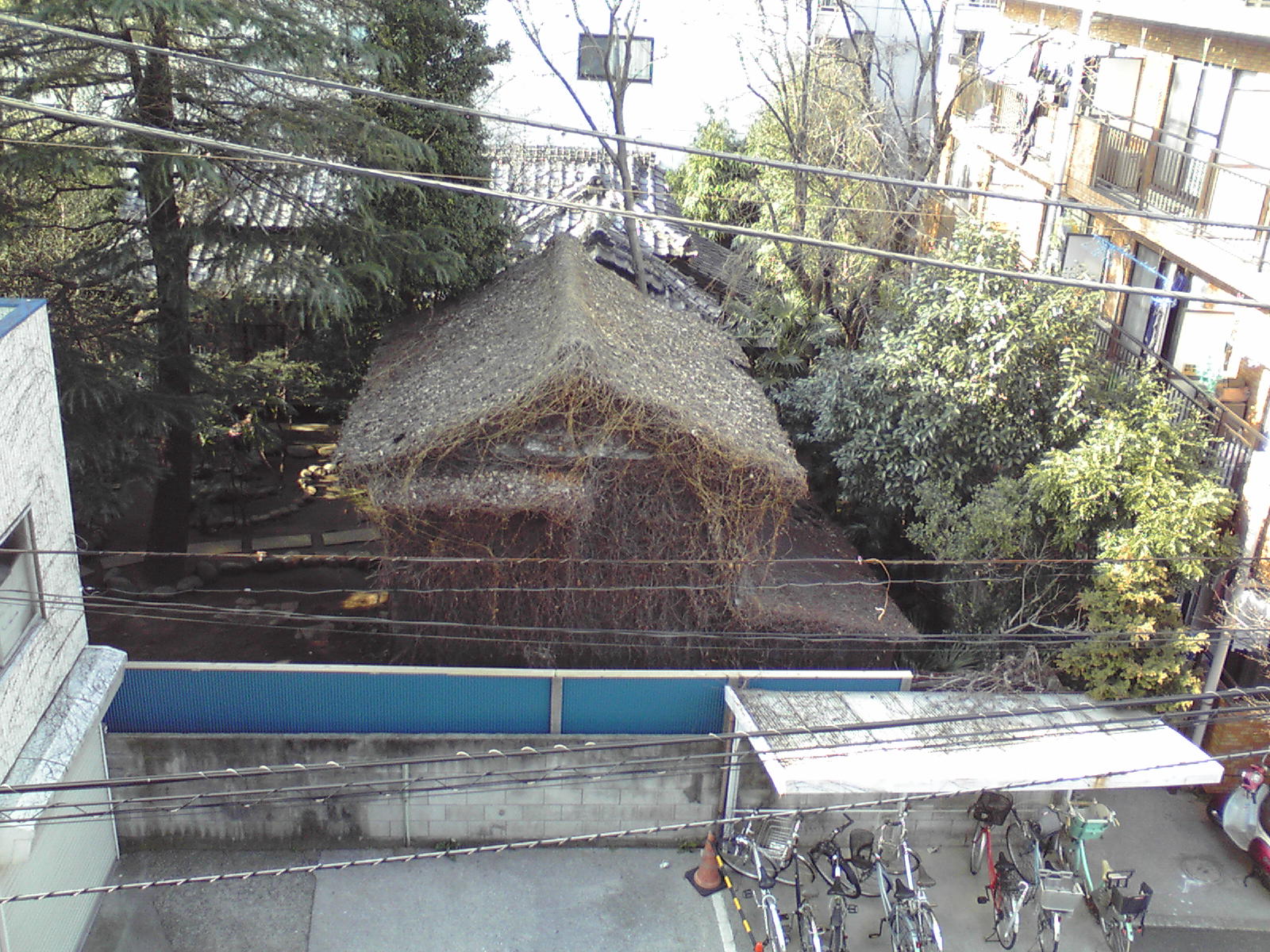 a0288706_23443048.jpg