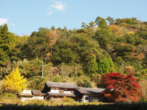 a0230008_21124984.jpg