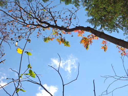 a0230008_21141.jpg