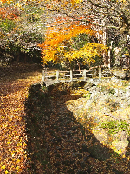 a0230008_21403218.jpg