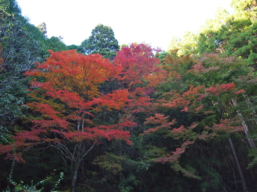 a0230008_21464585.jpg
