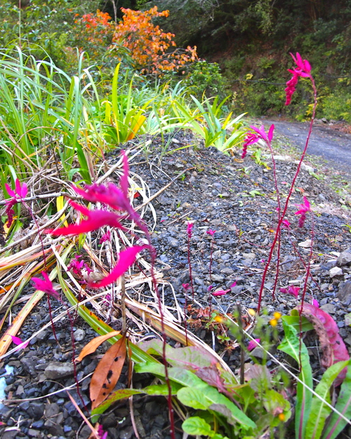 a0230008_21572227.jpg