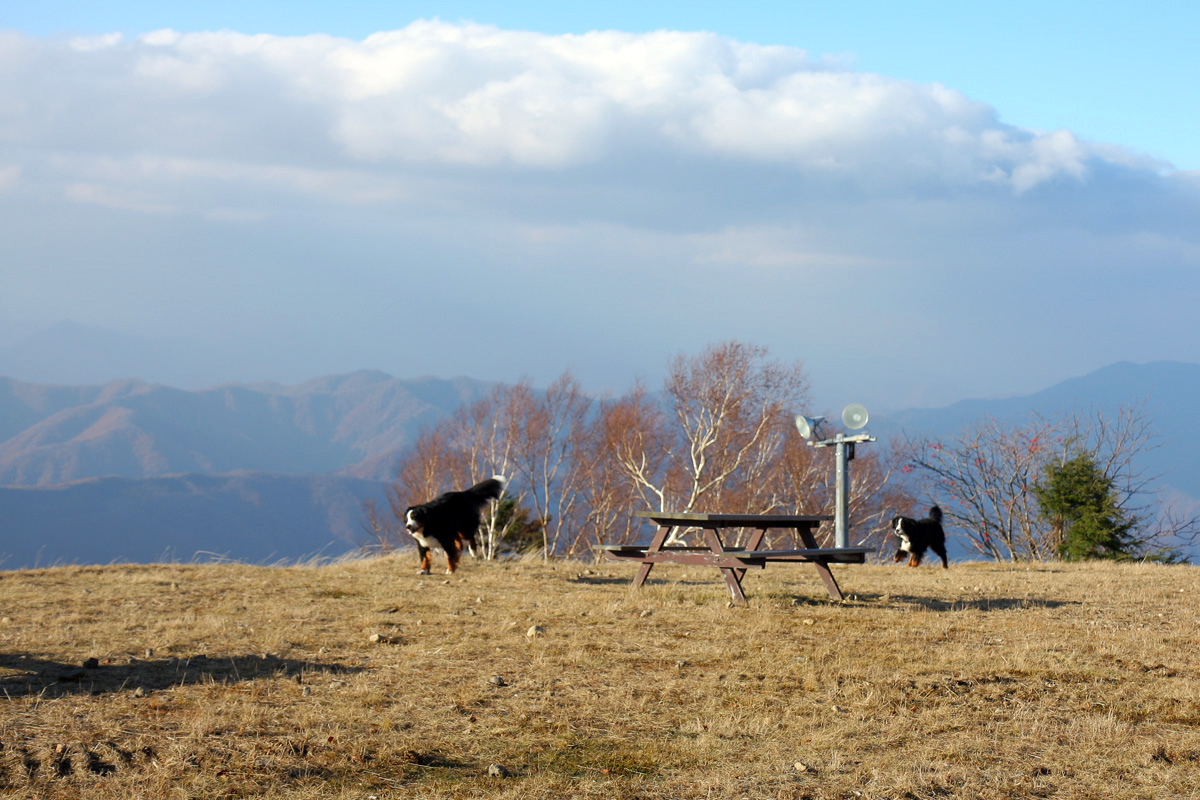 貸し切りの山頂_f0137508_2364139.jpg