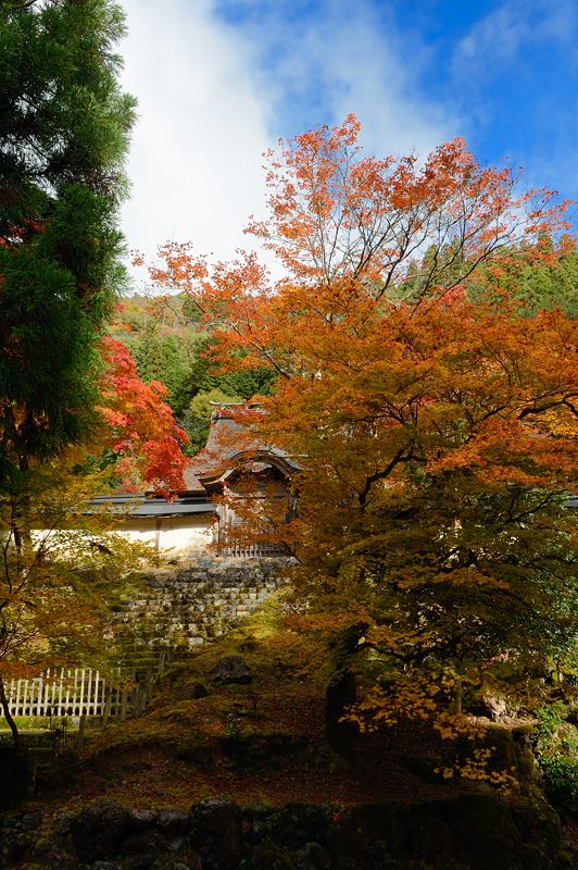 2012京都の紅葉・常照皇寺　其の一_f0032011_19371598.jpg