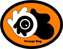 Ｏｒａｎｇｅ　Ｂｕｇ　の巻_f0051213_1751312.jpg