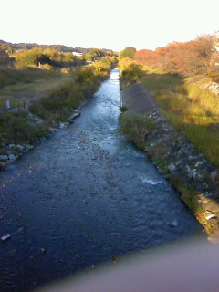 東京の田舎・清瀬の自然_b0255217_18452045.jpg