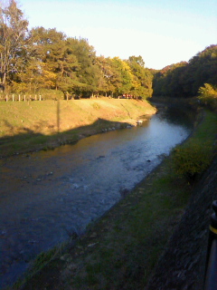 東京の田舎・清瀬の自然_b0255217_18492332.jpg