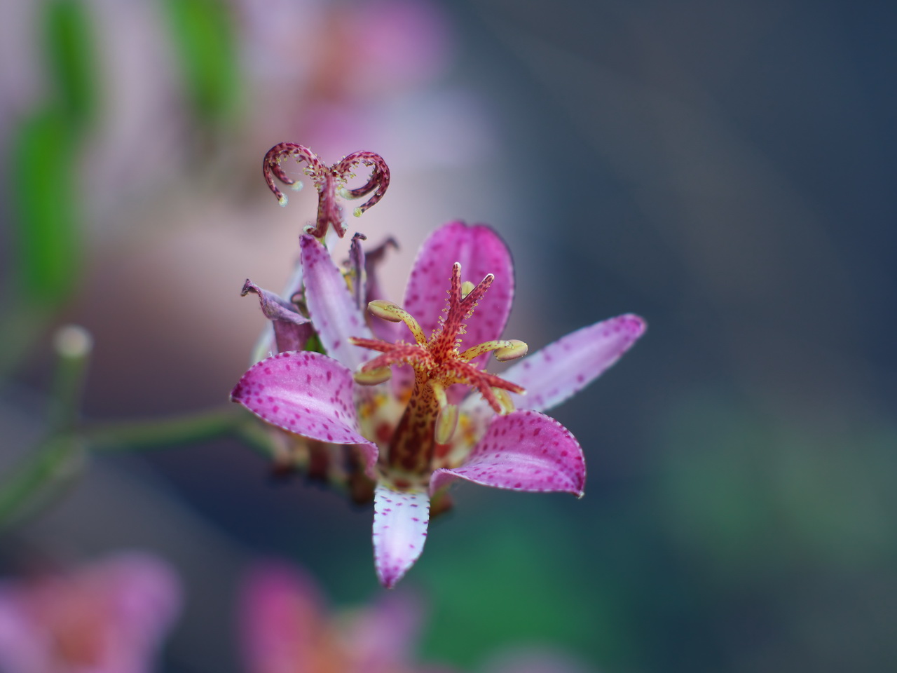 b0093625_14425434.jpg