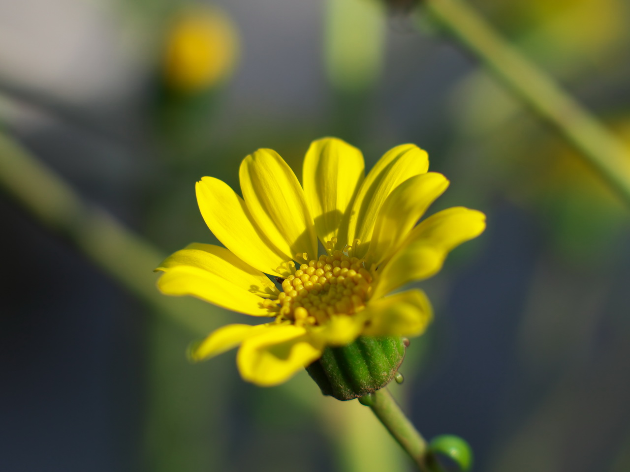 b0093625_14484268.jpg