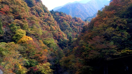 c0109726_14264531.jpg