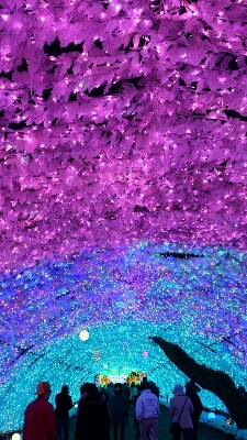 e0064227_1328053.jpg