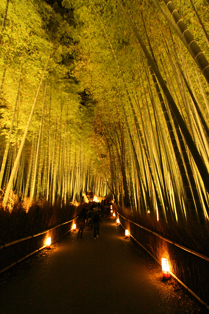 嵐山花灯路2010 －竹林の小径－_b0169330_7473850.jpg