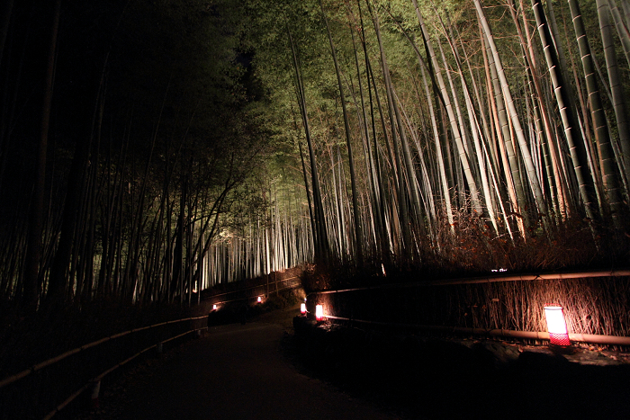 嵐山花灯路2010 －竹林の小径－_b0169330_7505730.jpg