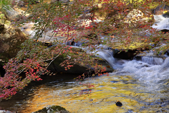 奥三河の紅葉　その４_e0025930_22271183.jpg