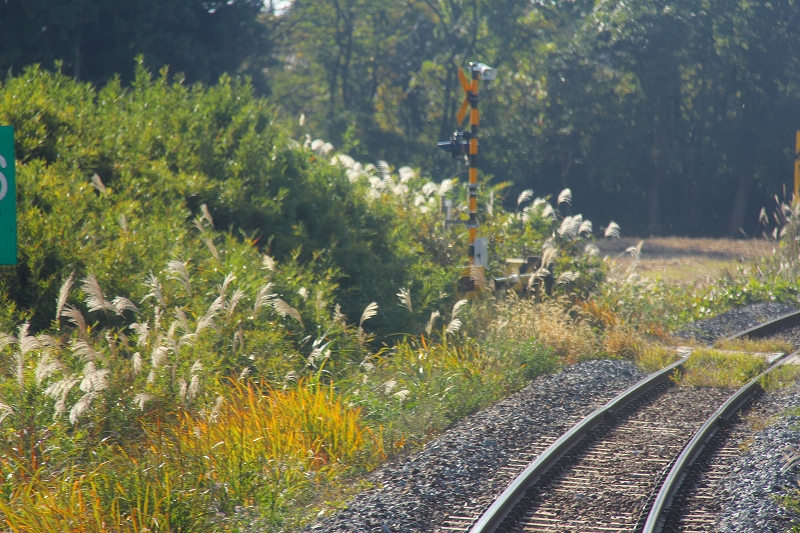 f0229832_16125912.jpg