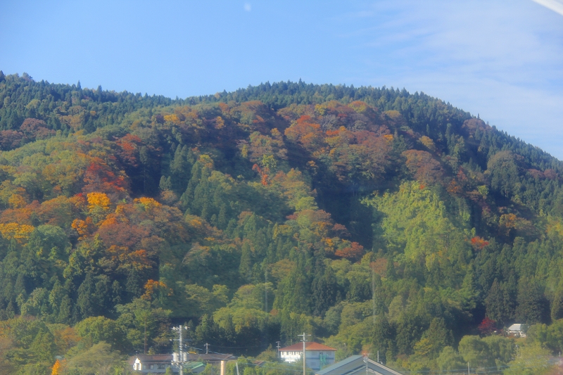 f0229832_16245435.jpg