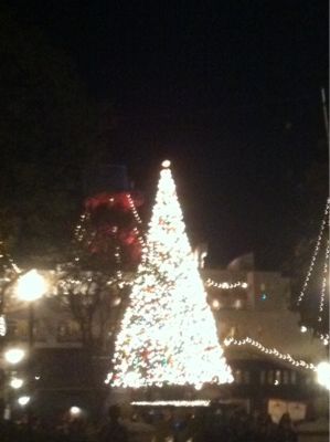 ディズニークリスマス~Ⅰ_c0036138_1638755.jpg