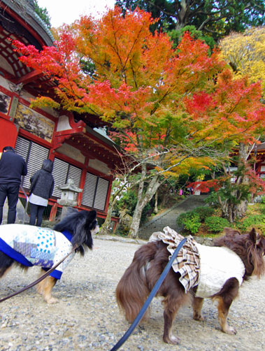 談山神社-2_f0186840_1316859.jpg