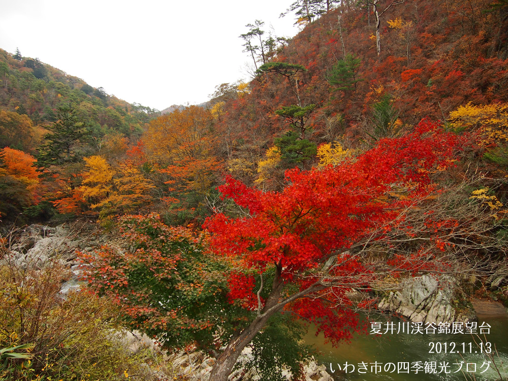 11月14日（水）　夏井川渓谷　紅葉が見頃を迎えました！_f0105342_16381749.jpg