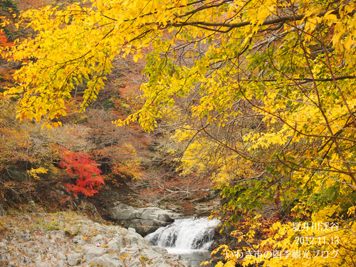 11月14日（水）　夏井川渓谷　紅葉が見頃を迎えました！_f0105342_16395571.jpg