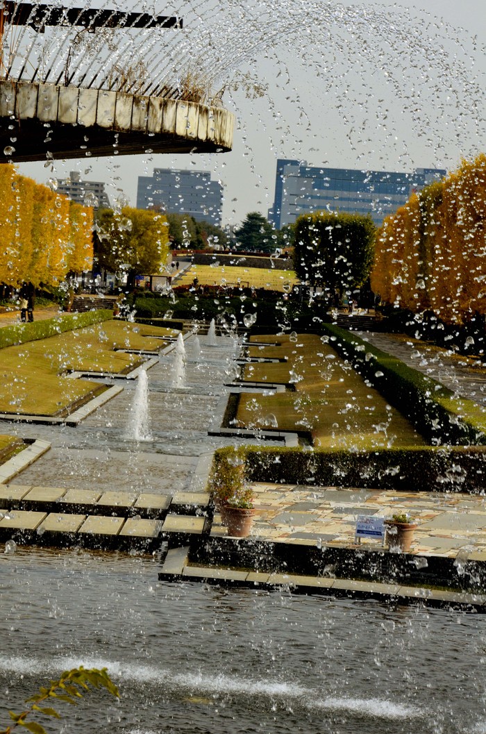 d0166643_14352566.jpg