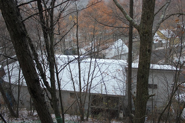 e0023643_19181473.jpg