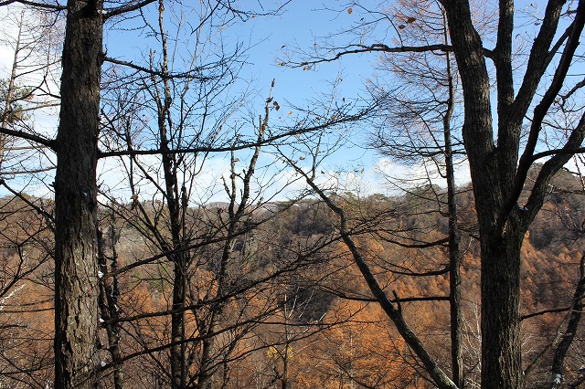 e0023643_192227.jpg