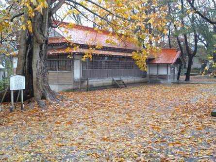 b0238249_14334484.jpg