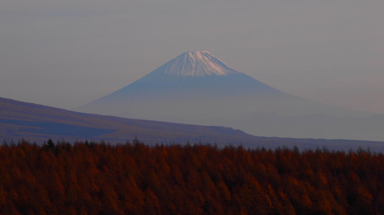 白樺湖近くで富士山が(( ≧▽≦))ﾉﾞ_d0087549_042347.jpg