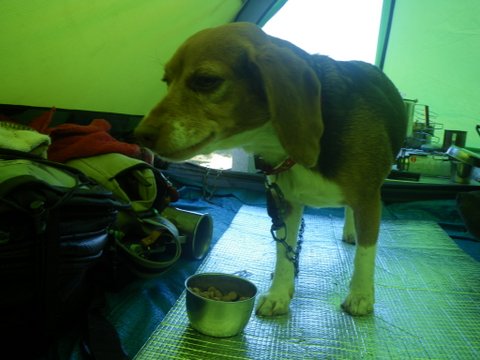 f0046250_1540252.jpg