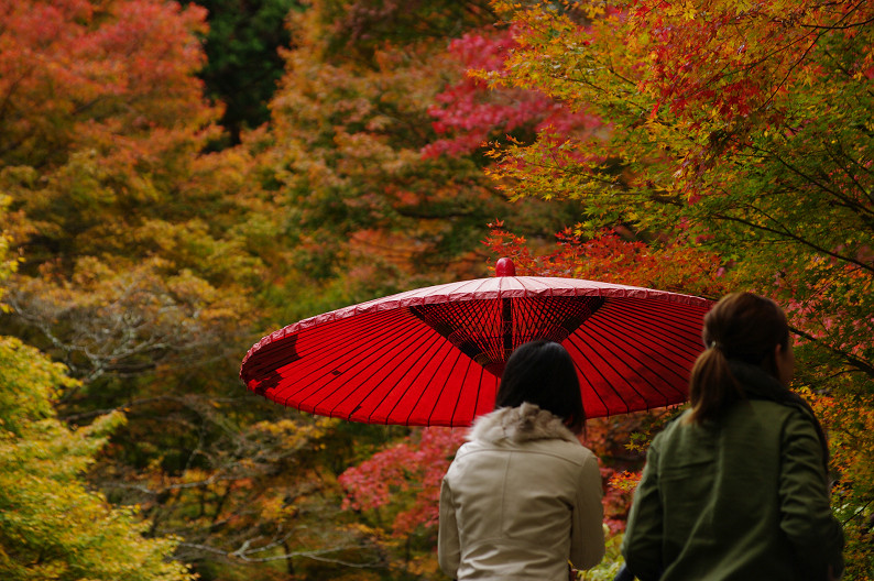 紅葉 2012　～神護寺～_f0152550_20235358.jpg