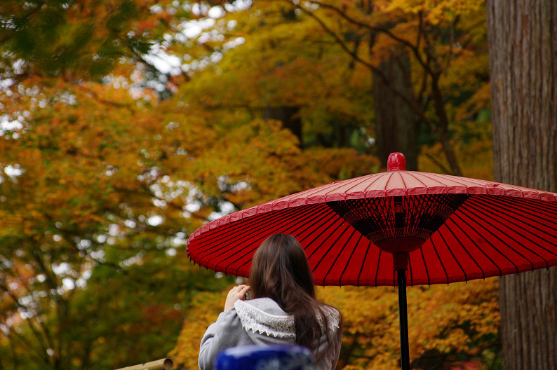 紅葉 2012　～神護寺～_f0152550_20243628.jpg