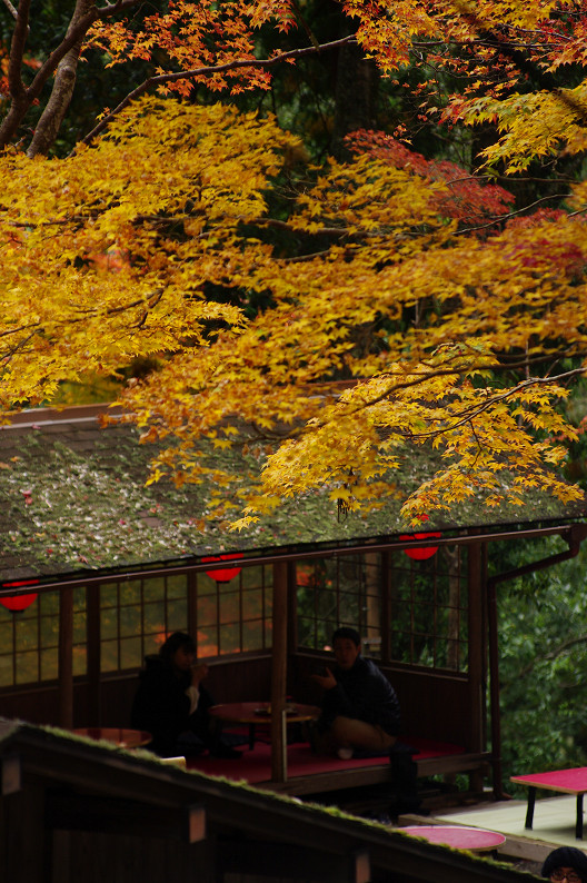 紅葉 2012　～神護寺～_f0152550_20245574.jpg