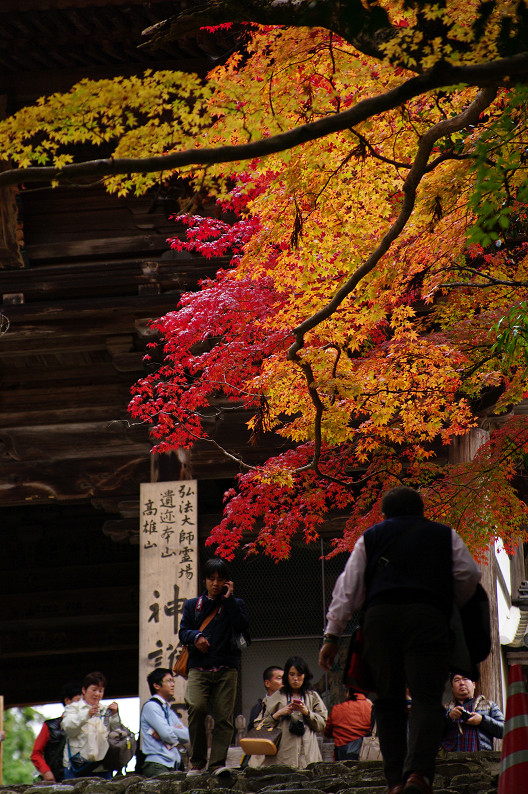 紅葉 2012　～神護寺～_f0152550_20251453.jpg