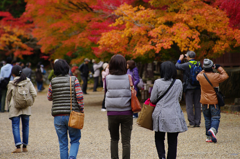 紅葉 2012　～神護寺～_f0152550_20252879.jpg