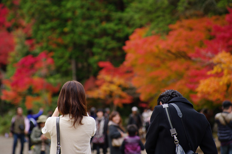 紅葉 2012　～神護寺～_f0152550_20253437.jpg