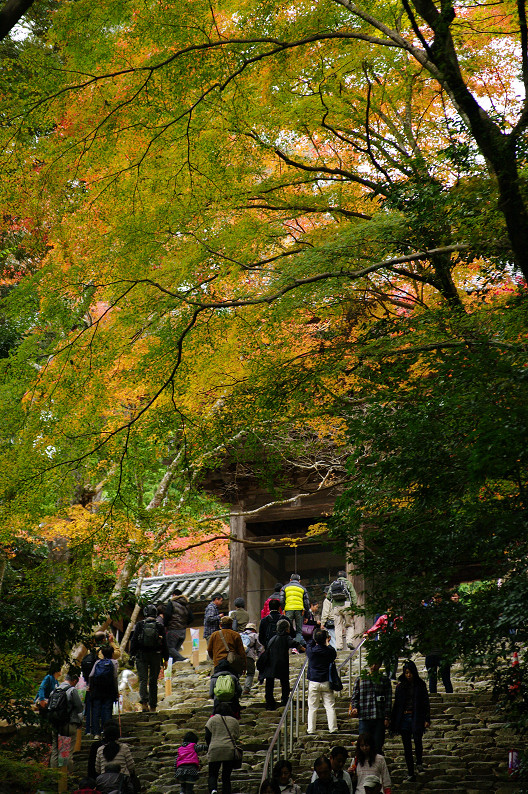 紅葉 2012　～神護寺～_f0152550_2025680.jpg