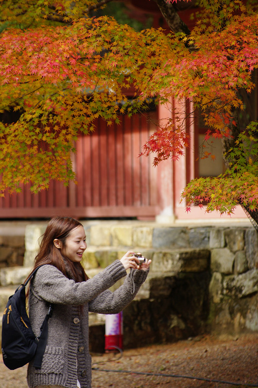 紅葉 2012　～神護寺～_f0152550_2026139.jpg