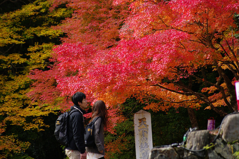 紅葉 2012　～神護寺～_f0152550_20265832.jpg