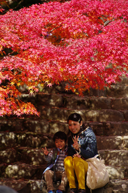 紅葉 2012　～神護寺～_f0152550_20273513.jpg