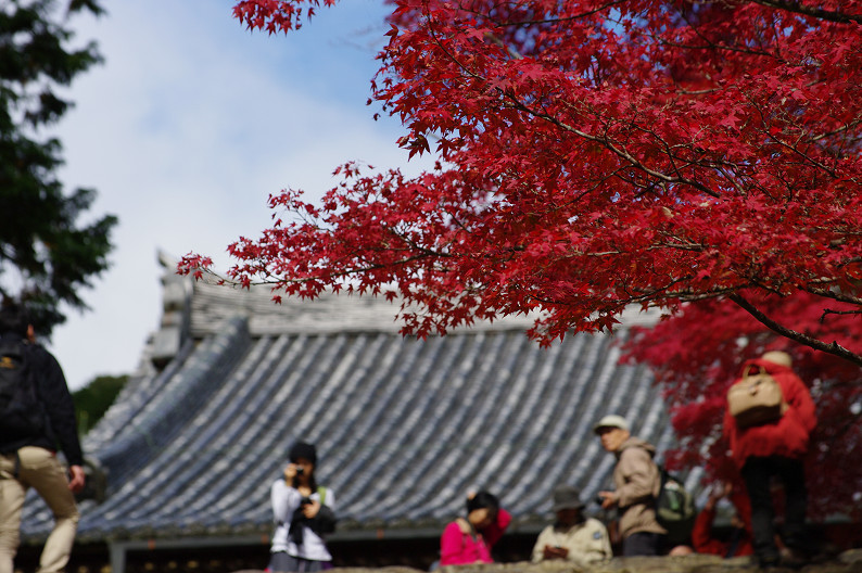 紅葉 2012　～神護寺～_f0152550_202751.jpg