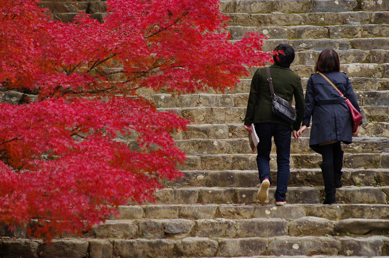 紅葉 2012　～神護寺～_f0152550_2029129.jpg